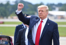 Donald Trump raising their arm in a fist gesture near a car.