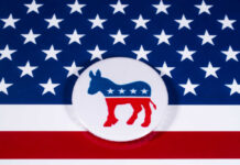 Democratic Party donkey on American flag background.