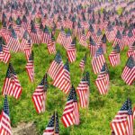 Many American flags placed on green grass field