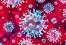 Microscopic view of coronavirus on a red background.