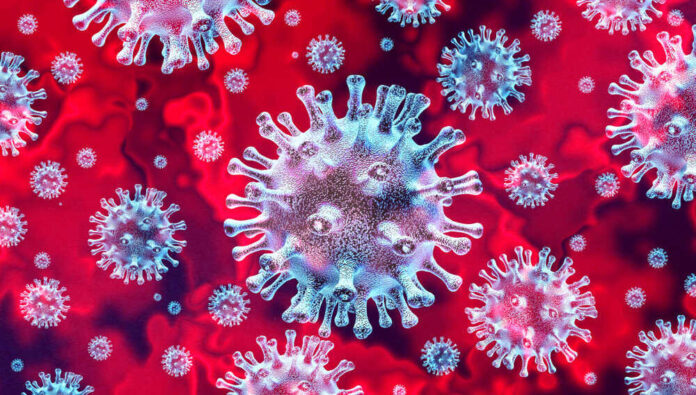 shutterstock_1621031059-1.jpg featured image Microscopic view of coronavirus on a red background.