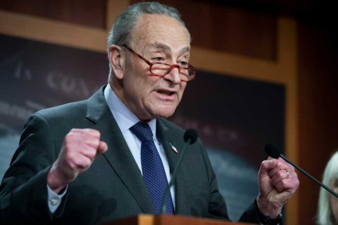 shutterstock_2274415093.jpg featured image Chuck Schumer in a suit speaking and gesturing emphatically.