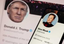 Donald Trump and Elon Musk Twitter profiles displayed.