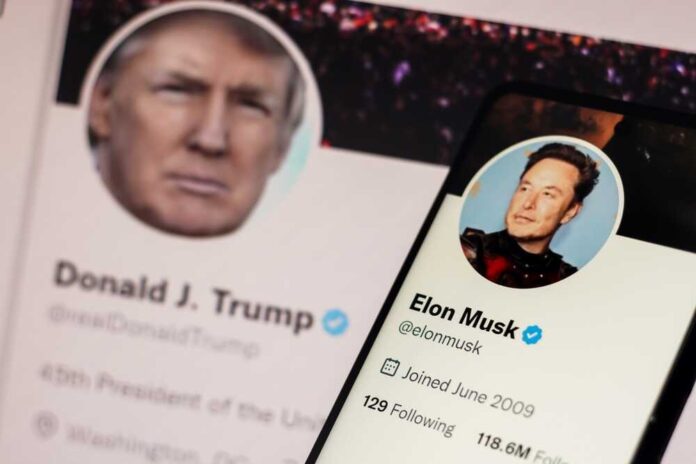 shutterstock_2320406293.jpg featured image Donald Trump and Elon Musk Twitter profiles displayed.