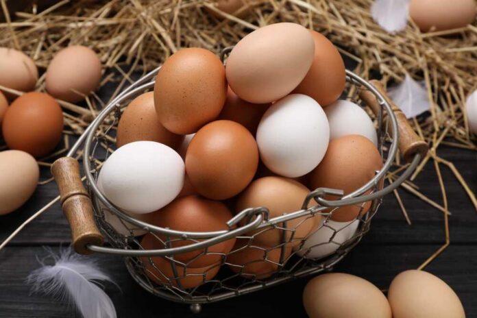 shutterstock_2463212355.jpg featured image Basket of brown and white eggs on straw