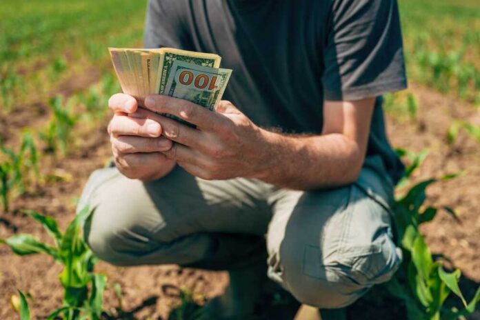 A farmer counting cash in a field