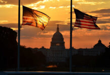 Silhouetted American flags in front of the Capitol building during sunset
