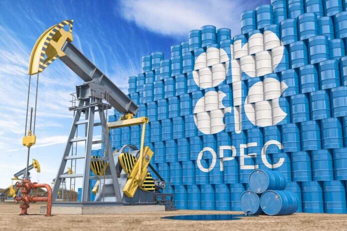 Oil pump jack in front of stacked blue barrels with OPEC logo