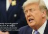 US judge allows Trump to implement mail-in voting executive ruling