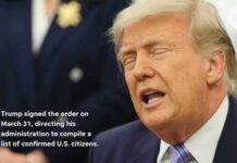 US judge allows Trump to implement mail-in voting executive ruling