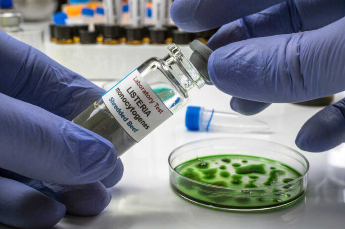 A laboratory technician holding a vial labeled 'Listeria monocytogenes' above a petri dish with green culture