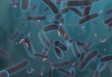 Legionnaires’ cluster grows on the Upper East Side