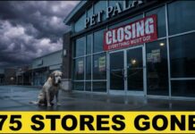 Tractor Supply SHUTS DOWN 75 Petsense Stores! (Full Breakdown)