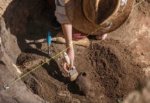 Archaeologist uncovering pottery at a dig site.