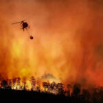 Helicopter fighting massive forest fire with water bucket.