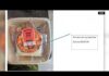 Walmart tomato soup kits recalled for listeria concerns