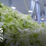 FDA investigating new cyclospora outbreak