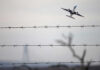 Airplane taking off view through barbed wire fence