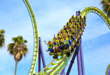 Roller coaster riders on a green and purple loop