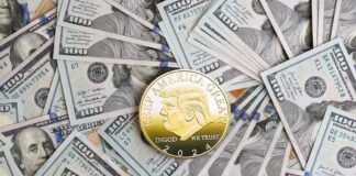 Trump coin