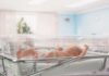 Newborn baby lying in a transparent crib in a hospital nursery