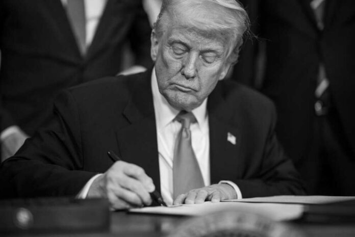 President Donald Trump
